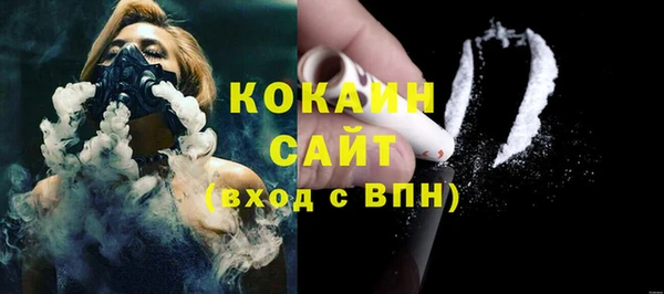 мдпв Рославль