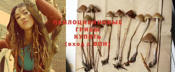 Альфа ПВП Армянск