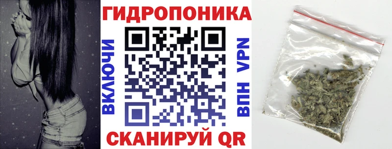 Конопля сатива  Ермолино 